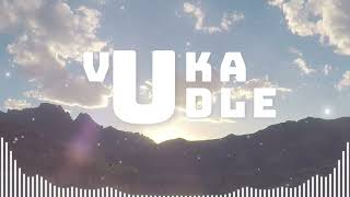 Vuka Udle 15-01-25