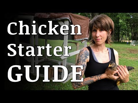 Beginners Guide To Raising BACKYARD CHICKENS Beginners Guide To Raising BACKYARD CHICKENS