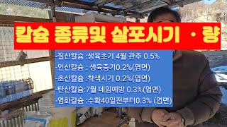 칼슘의 종류 및 살포시기 와 살포량