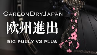 【CDJ】桜柄 ビッグプーリー V3 PLUS 紹介と取り付け方法【ロードバイクinドイツ】