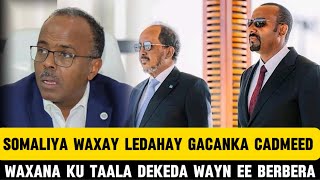 XOGWARAN WASIIR CALI BALCAD OO SU’AALO ADAG LAGA WAYDIIYAY ETHIOPIA IYO SOMALIYA WAXAY KU HESHIIYEEN