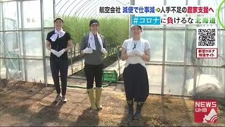 「アスパラがこんなに大変な作業で」農業スタッフは\