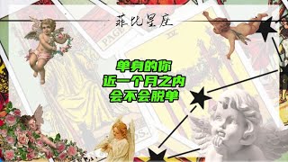 单身的你，近一个月之内会不会脱单#情感  #爱情  #情感分析