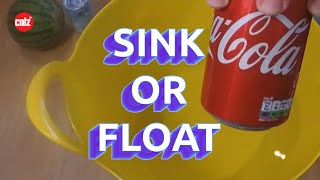 SINK OR FLOAT? Will  it sink or does it float?? Inspired by Greg James, BBC Radio 1