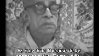 Prabhupada 1000 Maya está siempre buscando la oportunidad, un pretexto de cómo capturarte otra vez