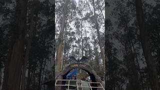 Gunacave വന്ന മാറ്റം കണ്ടാലോ😘#gunacaves #kodaikanal #kodaikanalplaces #familyvlog