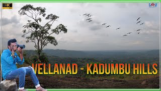 Vellanad - Kadumbu Hills┃Kerala┃4K┃GRB Videography