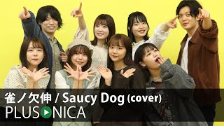 雀ノ欠伸 / Saucy Dog (cover)