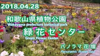 2018.04.28 和歌山県植物公園緑花センター　パノラマ花壇