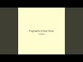 Fragments Ember Silver