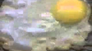 BUS101 Module 2 Best Marketing Advertisement Ever, Part I Brain On Drugs egg