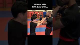 Wing Chun Pak Sao Drill | Sifu Francis Fong Lineage