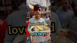 লাভবার্ড পাখির বাচ্চার দাম #birds #lovebirds #shorts #mirpur_1_pakhir_hat