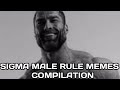 Sigma Rule Memes Compilation | Sigma Male Memes | MemeWalaDost