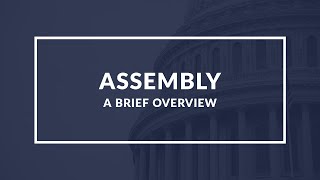 Assembly: Understanding the Role of Representation and Decision Making in a Political System