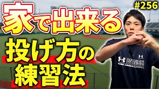 【#256】自然に指にかかる投げ方！家でできる練習法！【イップス克服講座】