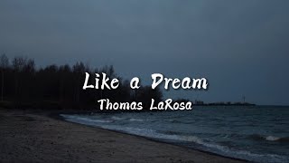 Thomas LaRosa - Like a Dream (Lyrics) / She looks just like a dream