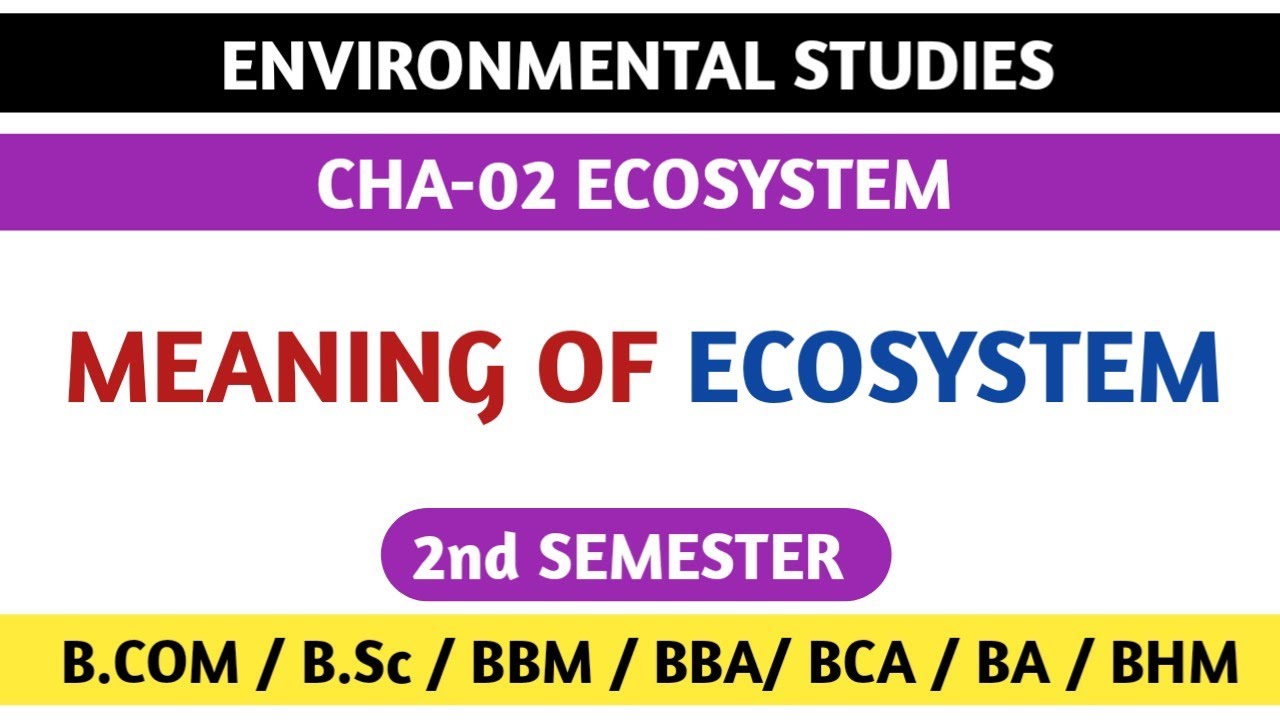 ECO SYSTEM MEANING FOR B.COM / B.Sc / BA / BCA / BBM 2nd SEM NEP ...