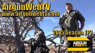 AGWTV - EP7 - Back to Basics, Hunting with our Gamo Breakbarrel Airguns!