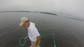 Catching schooling striper