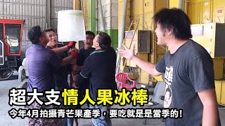 【務農夫婦】第229篇【農村最清涼的料理-超大支的情人果冰棒】