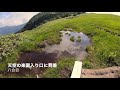 【登山動画】苗場山 美しき天空の楽園へ