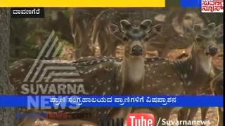 Davangere | ಪ್ರಾಣಿಗಳಿಗೆ ನೀಡಲಾಗ್ತಾ ಇದೆ ವಿಷ ಪಾಷಾಣ | Suvarna News