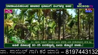 1 ಎಕರೆಯಲ್ಲಿ ಸಾವಯವ ಕೃಷಿ, 7 ಲಕ್ಷ ಆದಾಯದ ಖುಷಿ| ರಾಸಾಯನಿಕದಿಂದ ಹಾಳಾದ ತೋಟ ಒಂದು ತಿಂಗಳಲ್ಲಿ ಮರುಜೀವ!