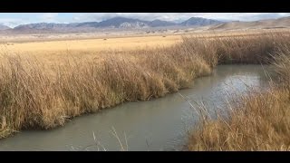 Tecopa HOT Springs - WARNING skinny dippers!