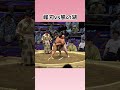 峰刃vs風の湖※途中からです 令和6年大相撲名古屋場所十日目 sumo