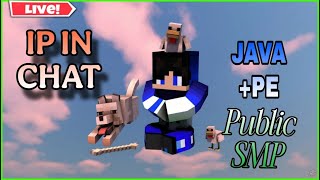 Day 22 Public Smp Java + Pe  | building upgradation | Livestream Now