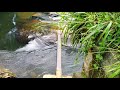 කුරුවිට ස්වභාවික ජල තටාකය kuruwita natural pool