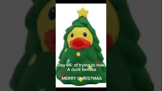 Day 66: of viral duck #christmas #duckoftheday #duck