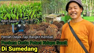 Masya Allah ‼️ Petani Sawit ini Sabar Dari Hinaan Ejekan. desa.ranjeng kec.cisitu kab.sumedang