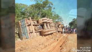 Rodovia trans Amazonica