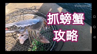 （澳洲生活体验）抓螃蟹攻略 维多利亚 Lakes Entrance 又好玩又简单的项目『一分钟攻略』