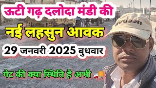 ऊटी गढ़ दलोदा मंडी की लहसुन आवक,29 जनवरी 2025 बुधवार