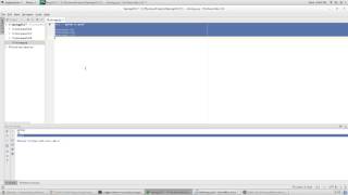 06 Python string functions and data validation