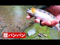 【渓流釣り】初心者がアマゴを初めて〇〇匹釣った日（いろんなルアー使ってみた）