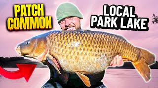 Quick Carp Fishing Session down my local Park Lake! With Ben Parker