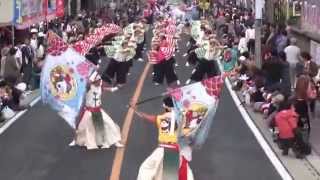 妃龍〔坂戸よさこい2015本祭２日目　元町会場20151011〕