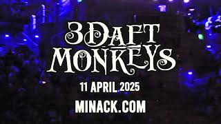 3 Daft Monkeys - returning to the Minack 11 April 2025