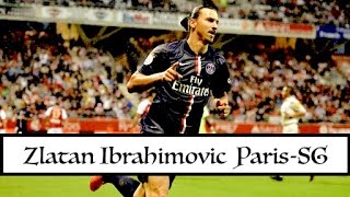 Zlatan Ibrahimovic - Paris SG I All Goals I HD