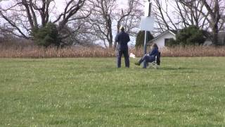 TSSC ASFA Coursing 12-04-2011 - Run Off Whippet Open 3-4