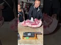 pork cut the best piece of meat slicing pork fresh pork pig nov 02