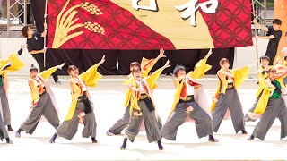 [4K] 東京農業大学YOSAKOIソーラン部大黒天　にっぽんど真ん中祭り 2023 どまつり 土曜日 (中央)