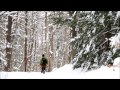 rhododendron state park in winter