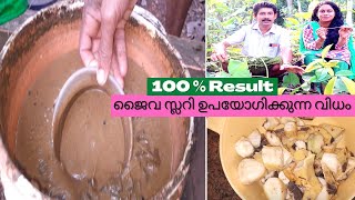 ഏതു വിളകളും തഴച്ചുവളരാൻ ജൈവ സ്ലറി  How to use Liquid Organic Fertilizer For Plants || PART 2