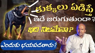 కుక్కలు ఎందుకు ఏడుస్తాయి ఏడిస్తే ఏమవుతుంది | Satyamide