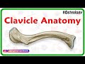 Clavicle Anatomy Animation | General features, Osteology, Attachments, Development, clinical anatomy